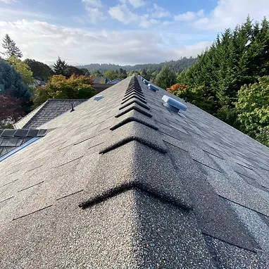 Residential Roofing