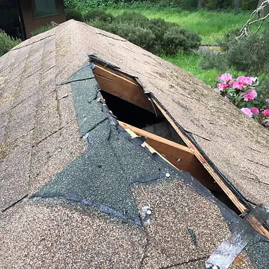 Residential Roofing